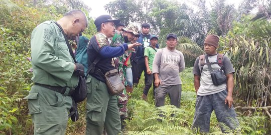 Pria di Inhil Diserang Gajah saat Memfoto, Badan Dikibas Belalai