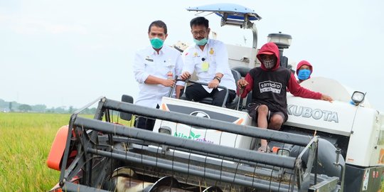 Tekan Impor, Produksi Pangan Dalam Negeri Penuhi Kebutuhan Nasional - Vimarsana News