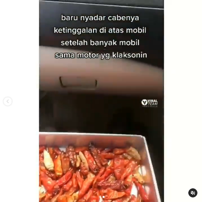 pengguna jalan klakson mobil ini ada 039cabai039 di atap