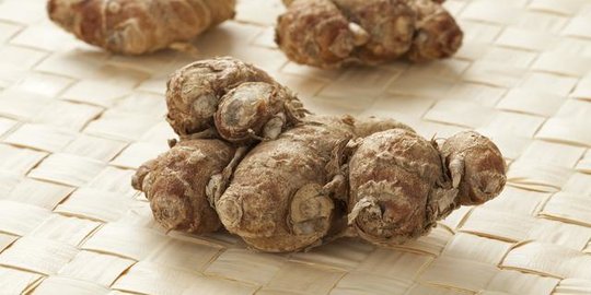 Mengenal Manfaat Kencur untuk Ibu Hamil, Berikut Cara Membuatnya