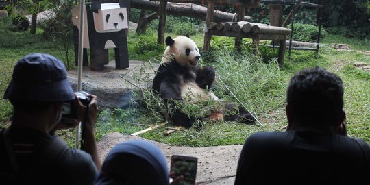 Objek Wisata Lain Masih Tutup, Kenapa Taman Safari Boleh Beroperasi?