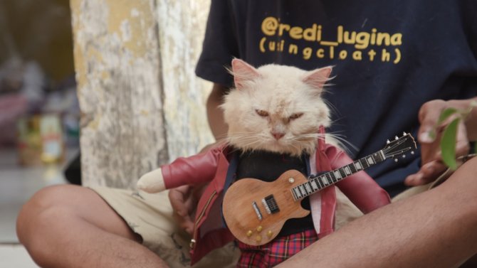 pembuat baju kucing