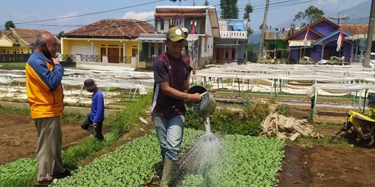 Inspiratif, Mantan Sopir di Garut Sukses Budi Daya Bibit Sayur & Beri Ilmu ke Pelajar