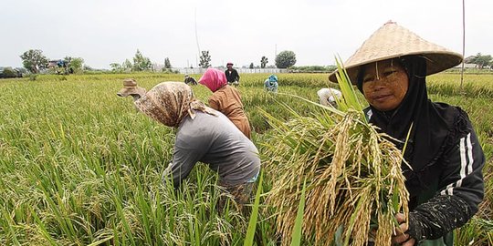 Mentan Syahrul Beberkan Jurus Petani Tetap Kebal dari Covid-19