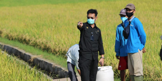 Mentan: Ekspor Cacing, Semut dan Belatung Bisa Hasilkan Uang Rp1 Triliun per Hari