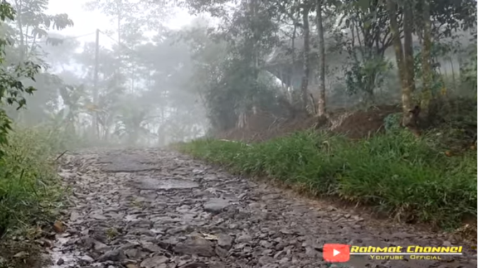 pasutri berani hidup terpencil di dalam hutan