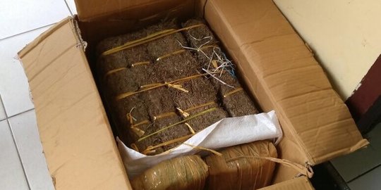 Pria Asal Sumut Ditangkap Usai Bawa 28 Kg Ganja, Mengaku Sasar Pelajar di Sumbar