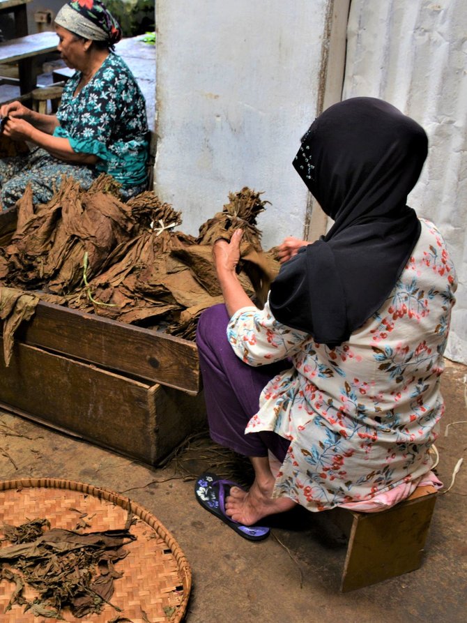 cerutu rizona temanggung