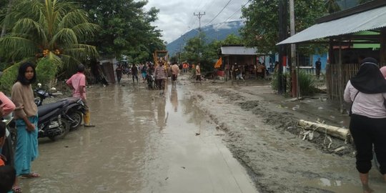 DPR Minta Pemerintah Siapkan Solusi Jangka Panjang Cegah Banjir Bandang