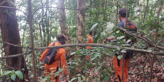 Sudah Sepekan Kakek Amiruddin Hilang di Hutan Kukar, Pencarian Tim SAR Nihil