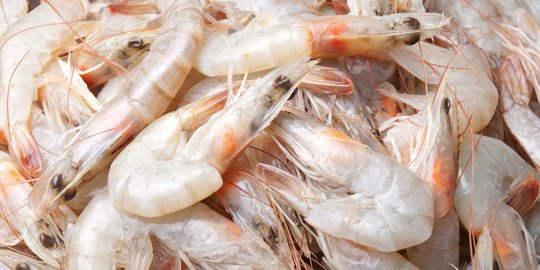 Indonesia Berkesempatan Besar jadi Produsen Udang Dunia