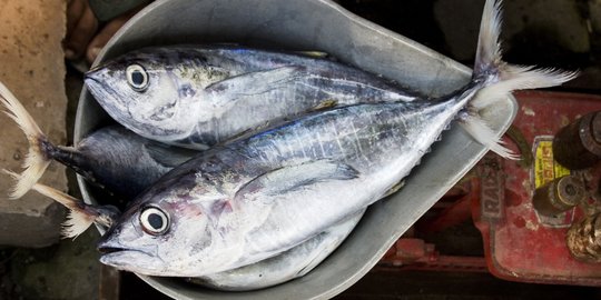 Resep Ikan Kembung untuk Sajian Lauk di Rumah, Enak dan Bikin Nagih