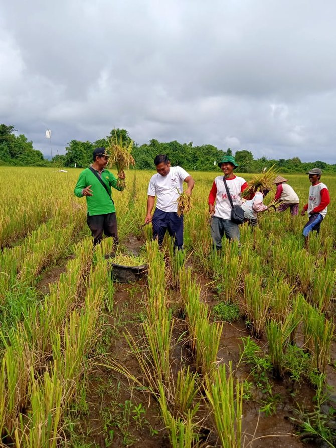 desa jangkang satu