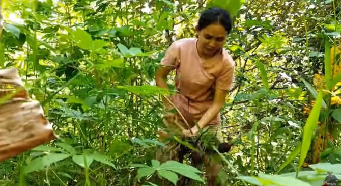 gadis dayak cantik saat bermain di hutan sambil bakar singkong dan mandi di sungai