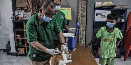 Vaksinasi Rabies untuk Hewan Peliharaan