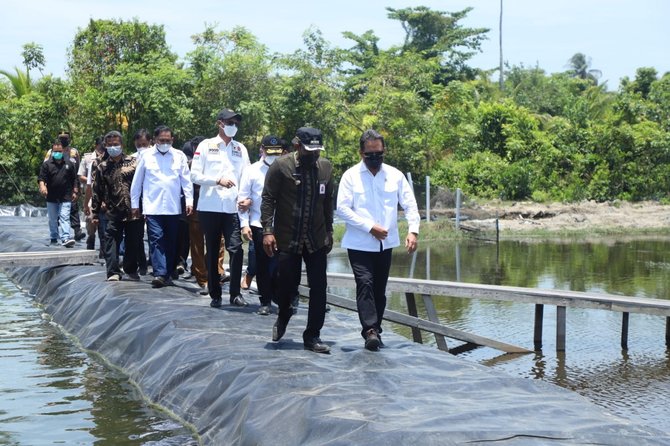 menteri trenggono sambangi tambak udang di aceh timur