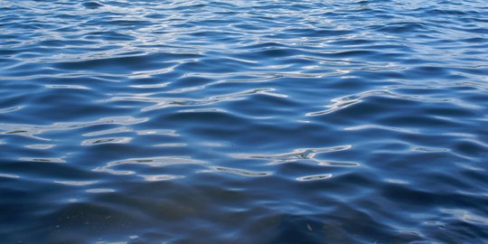 Gelombang Laut Hari Ini, dan Seminggu ke Depannya