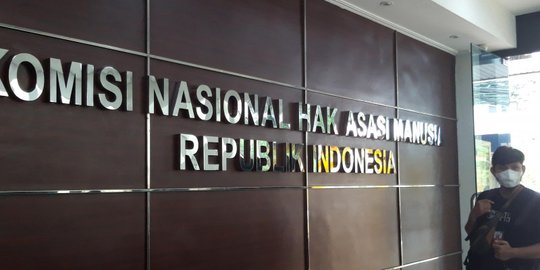 Komnas HAM Catat 19 Kasus Aduan terkait Pembela HAM Sepanjang 2020