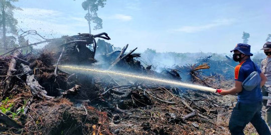 Dua Hektare Lahan Gambut Terbakar di Nagan Raya