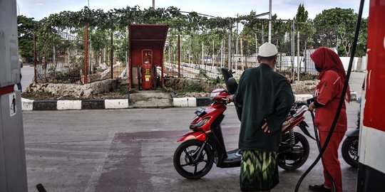 Menyulap Lahan Kosong Jadi Kebun Anggur