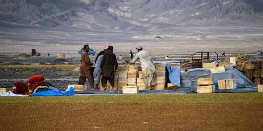 Melihat Aktivitas Petani Anggur di Afghanistan