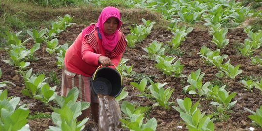 Intip Kontribusi Industri Hasil Tembakau ke APBN di Tengah Pandemi Covid-19