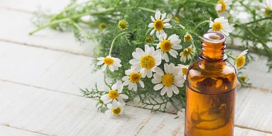 8 Manfaat Minyak Chamomile untuk Kesehatan, Bantu Atasi Depresi dan Penyembuhan Luka