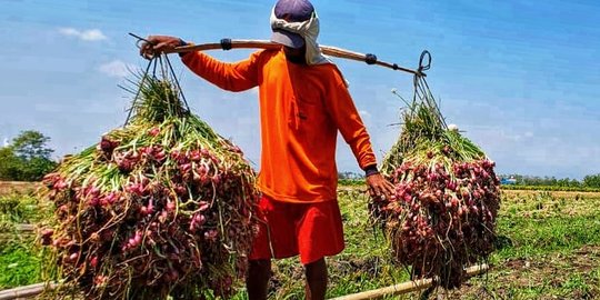 Pupuk Indonesia Gelar Kompetisi Riset Pangan, Cek Syarat untuk Ikut