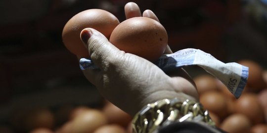 Peternak Ungkap Sebab Harga Telur Saat ini Anjlok Hingga Rp 15.000 per Kg