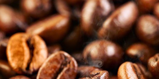 ppi ekspor 600 ton kopi ke mesir senilai usd1,2 juta