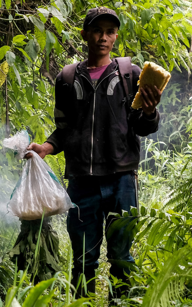 berburu madu liar hutan cisalak