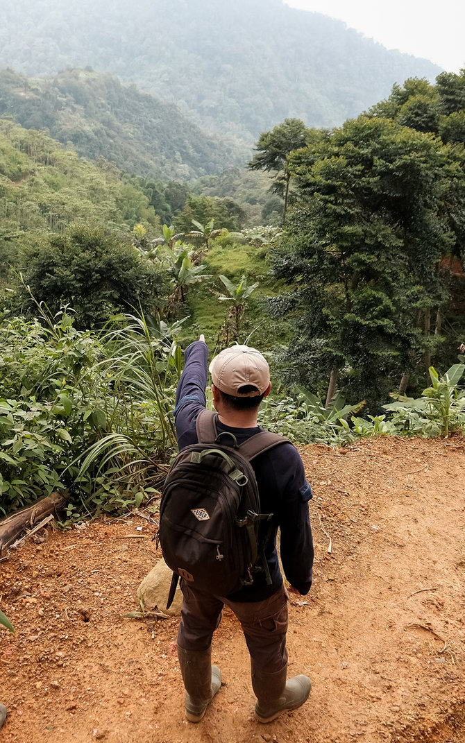 berburu madu liar hutan cisalak