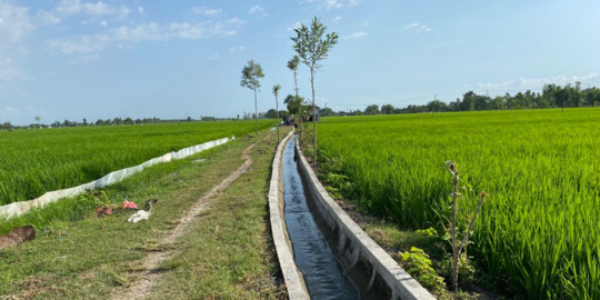 Irigasi Jadi Faktor Pendongkrak Produktivitas Pertanian Lampung