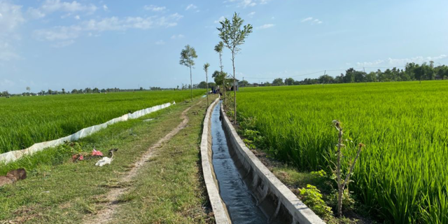 Irigasi Jadi Faktor Pendongkrak Produktivitas Pertanian Lampung Merdeka Com