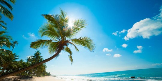 pnbp pengelolaan ruang laut 2020 meroket jadi rp 79 miliar