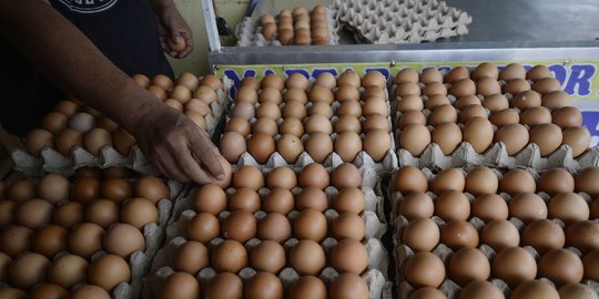 Kemendag Buka-bukaan Penyebab Harga Telur Terjun Bebas