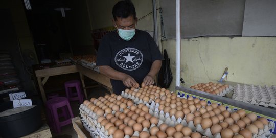 sebab harga telur saat ini anjlok hingga rp 15000 per kg