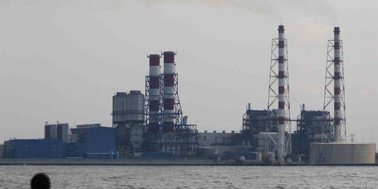manfaatkan eceng gondok, pltu lontar raih penghargaan internasional