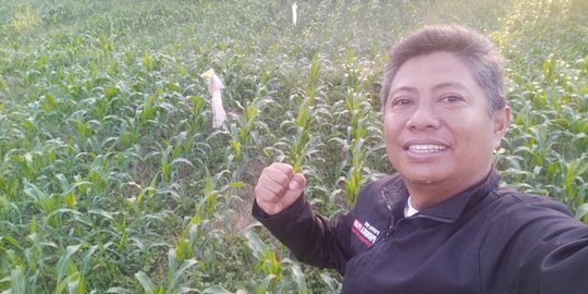 HKTI Jember Kecam Penetapan Harga Jagung oleh Presiden Jokowi