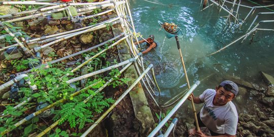 Tradisi Bersih Sendang Mudal Grobogan, Sumber Air Utama hingga Petilasan Para Wali