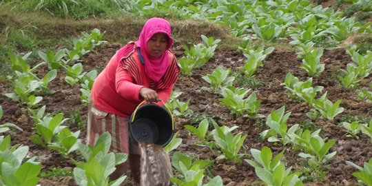 Curhat Buruh soal Rencana Kenaikan CHT: Banyak Pabrik yang Bangkrut