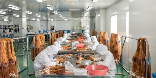 Menengok Pabrik Pemasok Bahan Medis di China