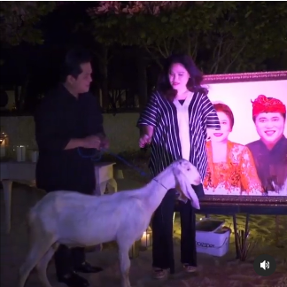 menteri ganteng ini beri seekor kambing kado anniversary