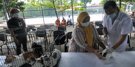 Cegah Rabies, Hewan Peliharaan Warga Disuntik Vaksin Secara Gratis