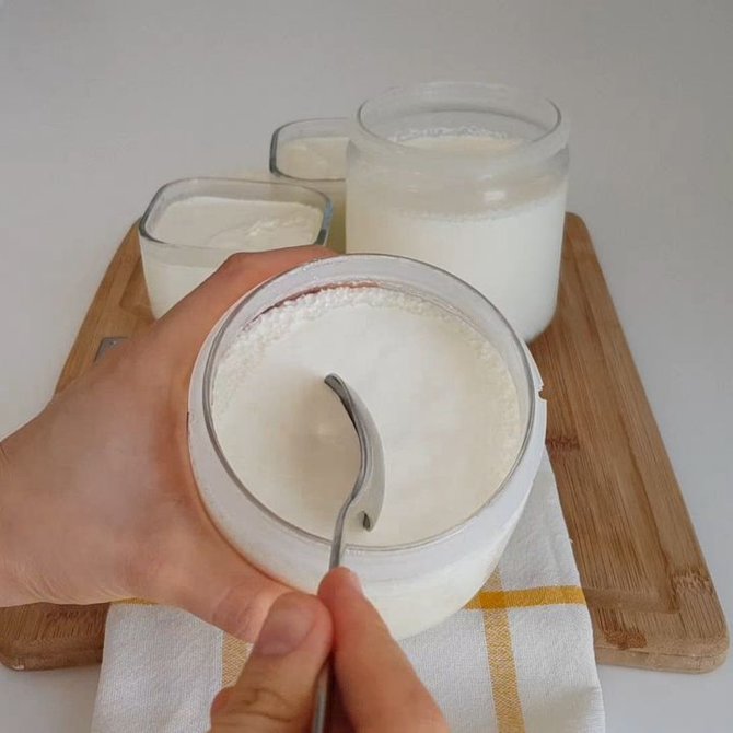 cara pembuatan yoghurt