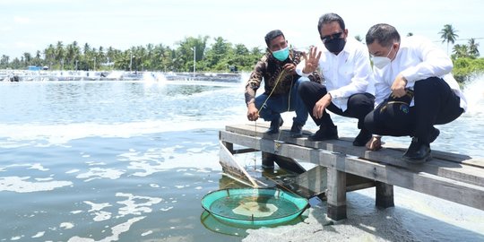 Menteri Trenggono Ungkap Sederet Manfaat Penangkapan Ikan Berbasis Kuota Mulai 2022