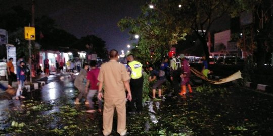 Pohon Hingga Reklame di Depok Rubuh Akibat Hujan Disertai Angin