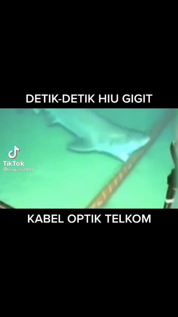 tidak benar video hiu gigit kabel bawah laut penyebab telkomsel down