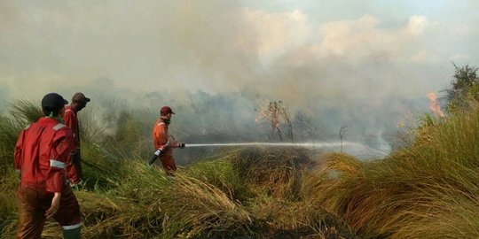 BPBD Sumatera Selatan Lakukan Pemadaman Titik Api di 7 Kabupaten