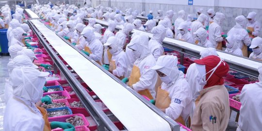Dampak Aturan Ketat Cina, Ekspor Ikan di Jateng Turun 1.200 Ton